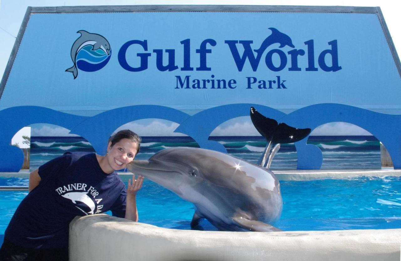 Splash 207E Panama City Beach Luaran gambar